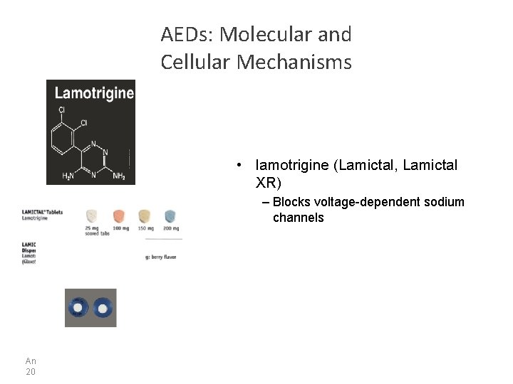 AEDs: Molecular and Cellular Mechanisms • lamotrigine (Lamictal, Lamictal XR) – Blocks voltage-dependent sodium