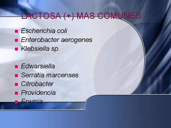 LACTOSA (+) MAS COMUNES Escherichia coli Enterobacter aerogenes Klebsiella sp. Edwarsiella Serratia marcenses Citrobacter