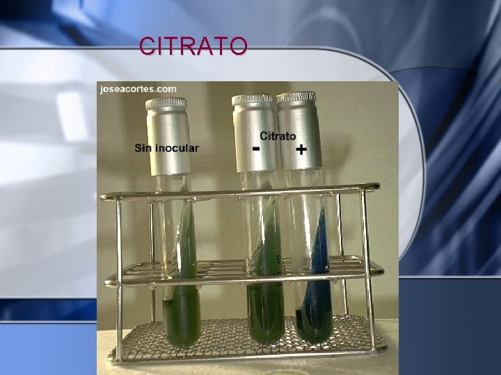 CITRATO 
