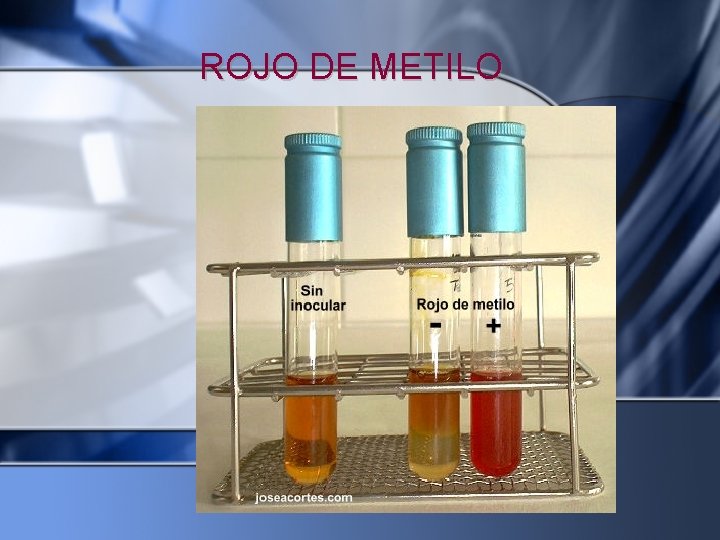 ROJO DE METILO 
