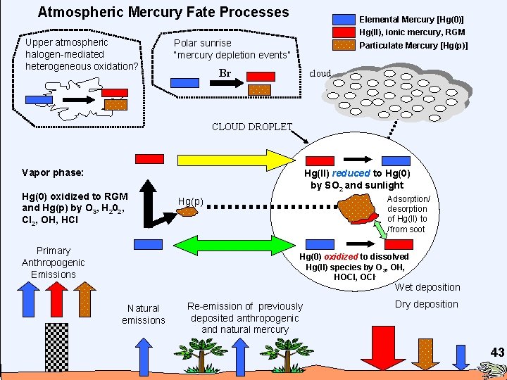 Atmospheric Mercury Fate Processes Upper atmospheric halogen-mediated heterogeneous oxidation? Elemental Mercury [Hg(0)] Hg(II), ionic