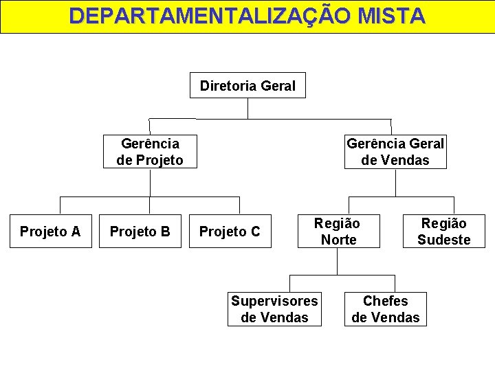 DEPARTAMENTALIZAÇÃO MISTA Diretoria Geral Gerência de Projeto A Projeto B Gerência Geral de Vendas