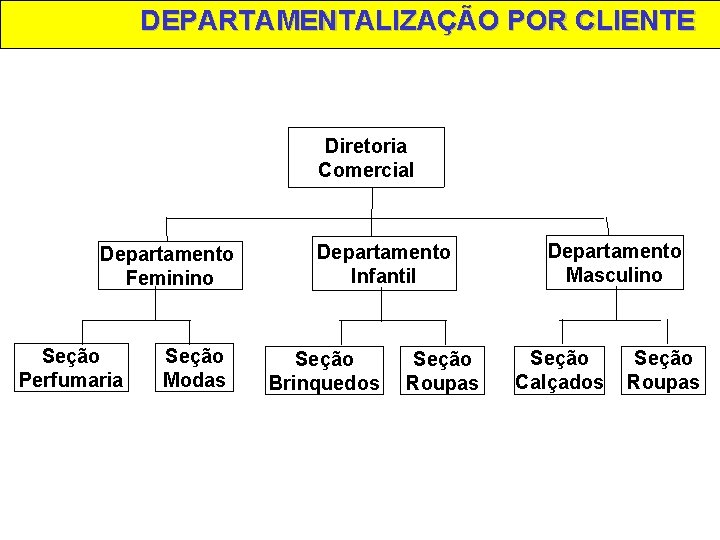 DEPARTAMENTALIZAÇÃO POR CLIENTE Diretoria Comercial Departamento Feminino Seção Perfumaria Seção Modas Departamento Infantil Seção