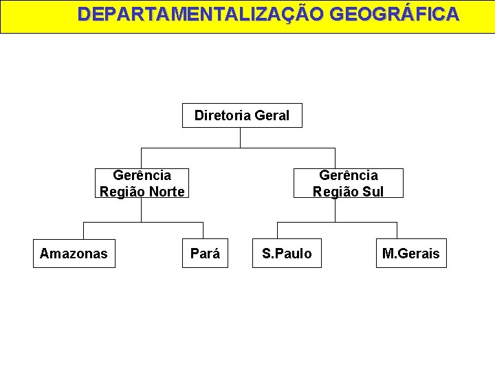 DEPARTAMENTALIZAÇÃO GEOGRÁFICA Diretoria Geral Gerência Região Norte Amazonas Gerência Região Sul Pará S. Paulo
