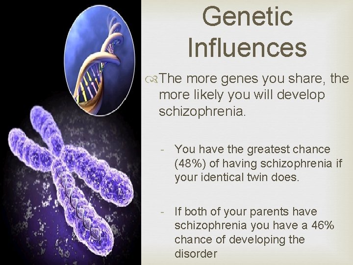 Genetic Influences The more genes you share, the more likely you will develop schizophrenia.