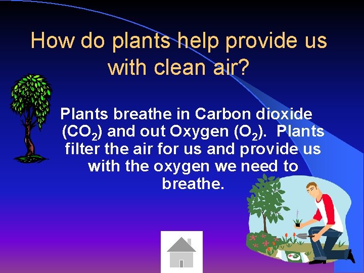 How do plants help provide us with clean air? Plants breathe in Carbon dioxide