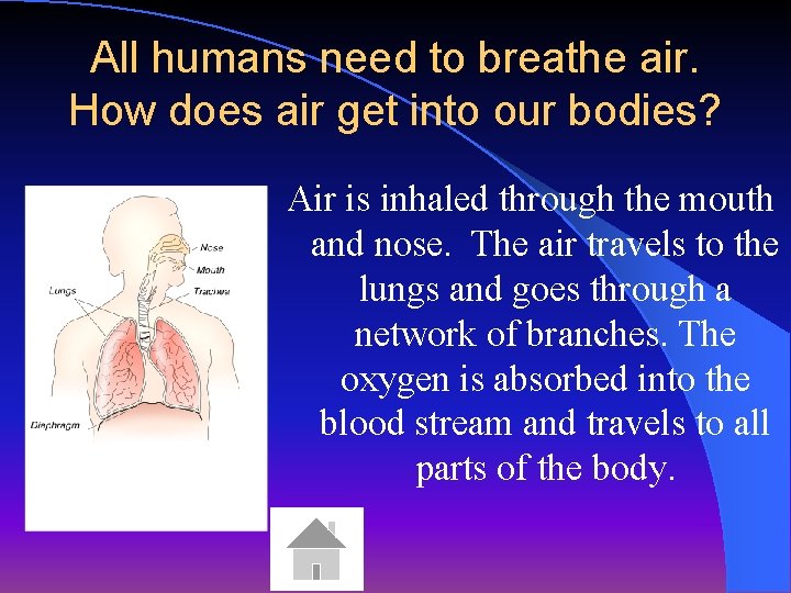All humans need to breathe air. How does air get into our bodies? Air