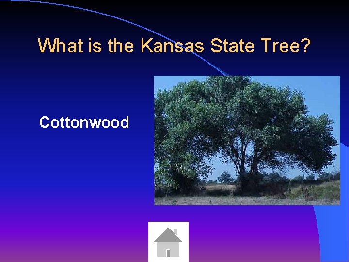 What is the Kansas State Tree? Cottonwood 