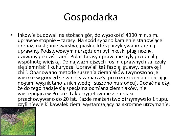 Gospodarka • Inkowie budowali na stokach gór, do wysokości 4000 m n. p. m.