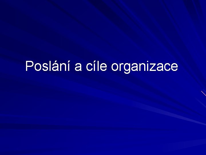 Poslání a cíle organizace 