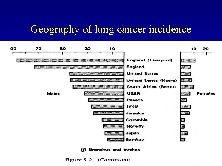 Geography of lung cancer incidence 