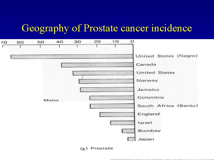 Geography of Prostate cancer incidence 