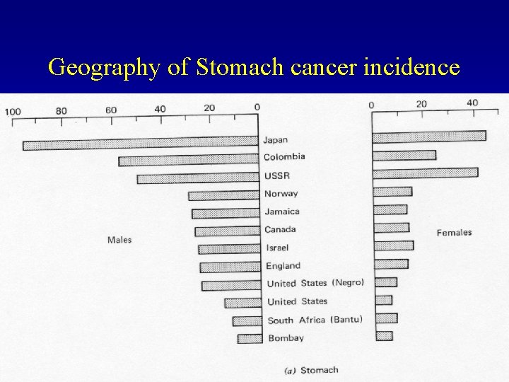 Geography of Stomach cancer incidence 