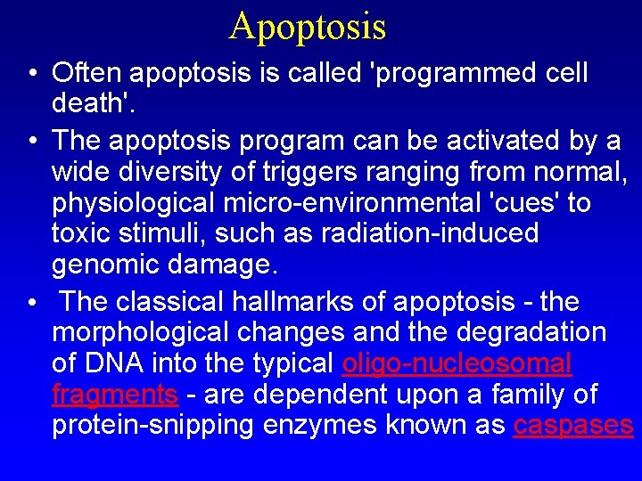 Apoptosis • Often apoptosis is called 'programmed cell death'. • The apoptosis program can