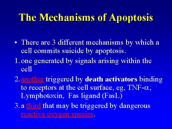 The Mechanisms of Apoptosis • There are 3 different mechanisms by which a cell