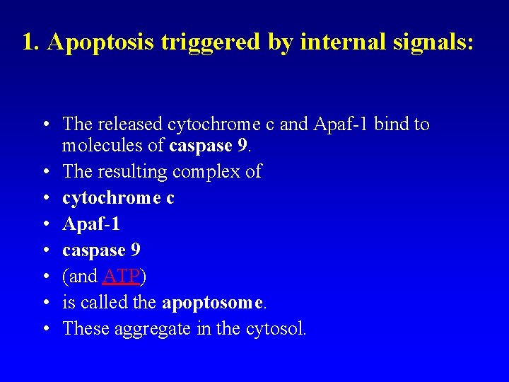1. Apoptosis triggered by internal signals: • The released cytochrome c and Apaf-1 bind