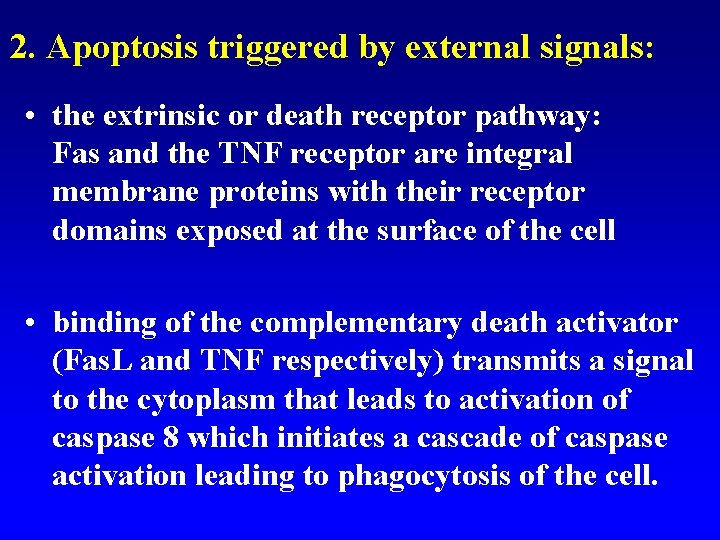 2. Apoptosis triggered by external signals: • the extrinsic or death receptor pathway: Fas
