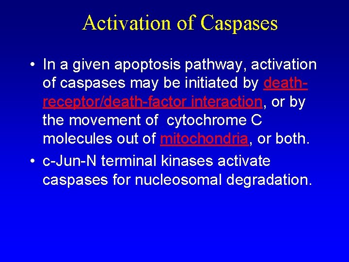 Activation of Caspases • In a given apoptosis pathway, activation of caspases may be