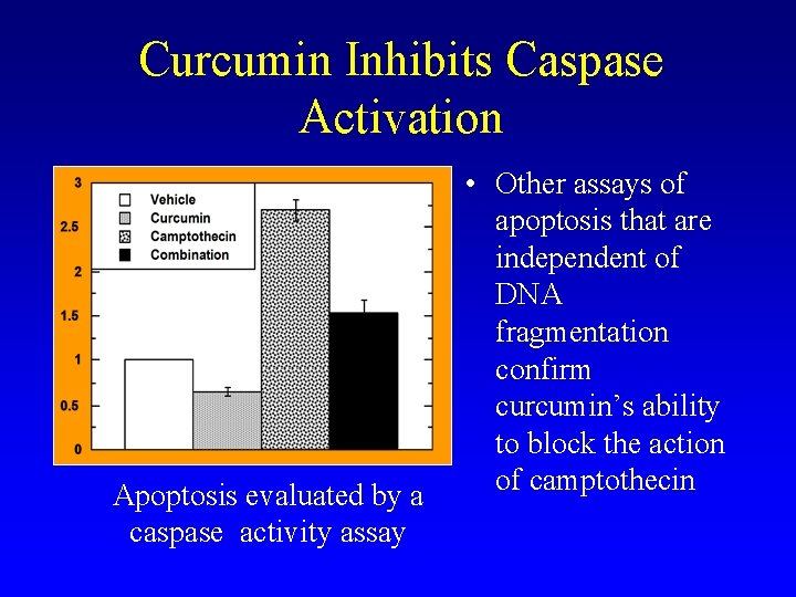 Curcumin Inhibits Caspase Activation Apoptosis evaluated by a caspase activity assay • Other assays