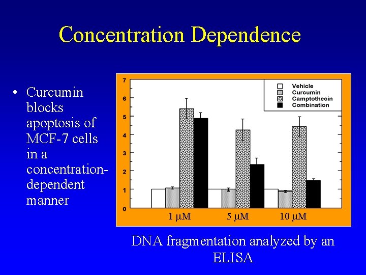 Concentration Dependence • Curcumin blocks apoptosis of MCF-7 cells in a concentrationdependent manner 1