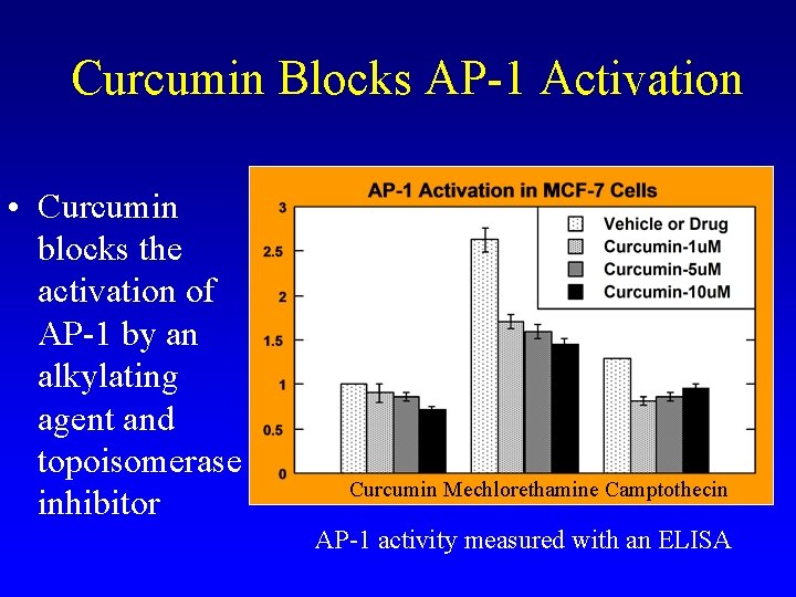 Curcumin Blocks AP-1 Activation • Curcumin blocks the activation of AP-1 by an alkylating