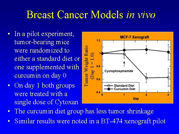 Breast Cancer Models in vivo Tumor Weight Ratio (Day 1 = 1. 0) •
