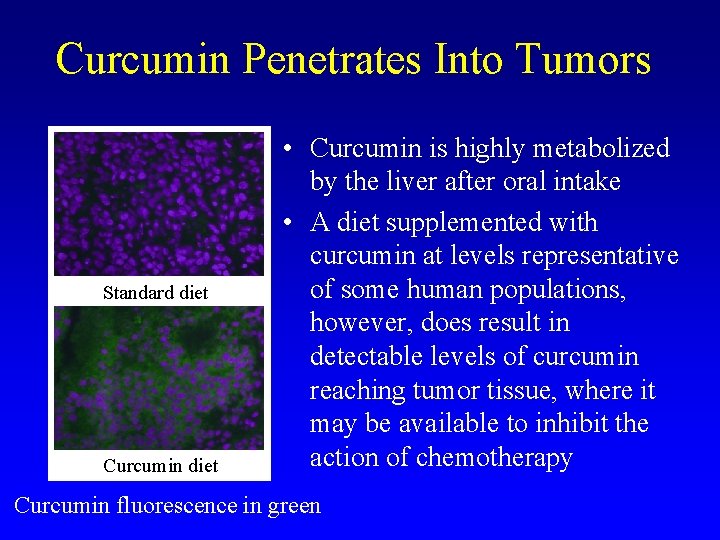Curcumin Penetrates Into Tumors Standard diet Curcumin diet • Curcumin is highly metabolized by