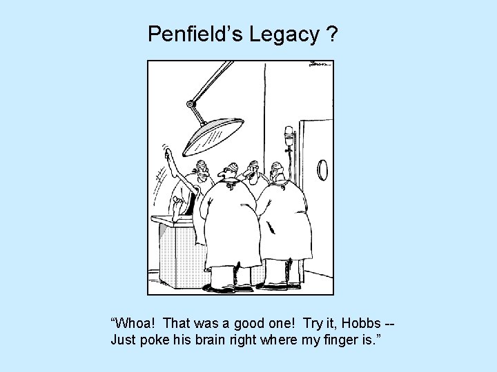 Penfield’s Legacy ? “Whoa! That was a good one! Try it, Hobbs -Just poke