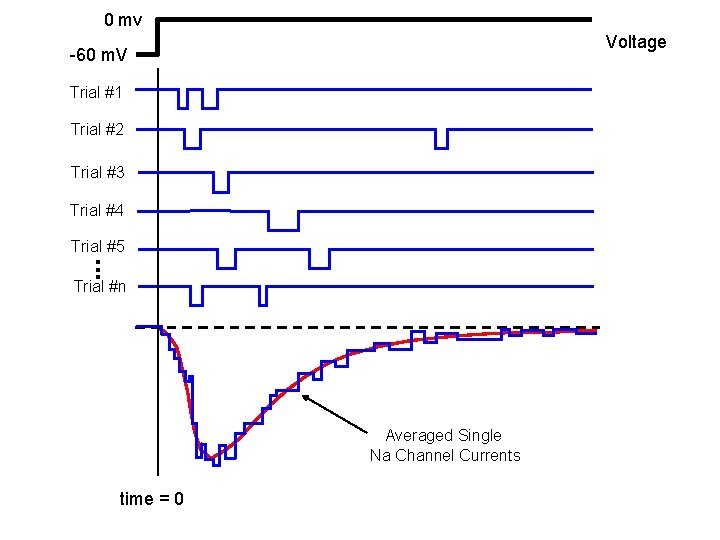 0 mv Voltage -60 m. V Trial #1 Trial #2 Trial #3 Trial #4