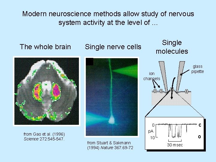 Modern neuroscience methods allow study of nervous system activity at the level of. .