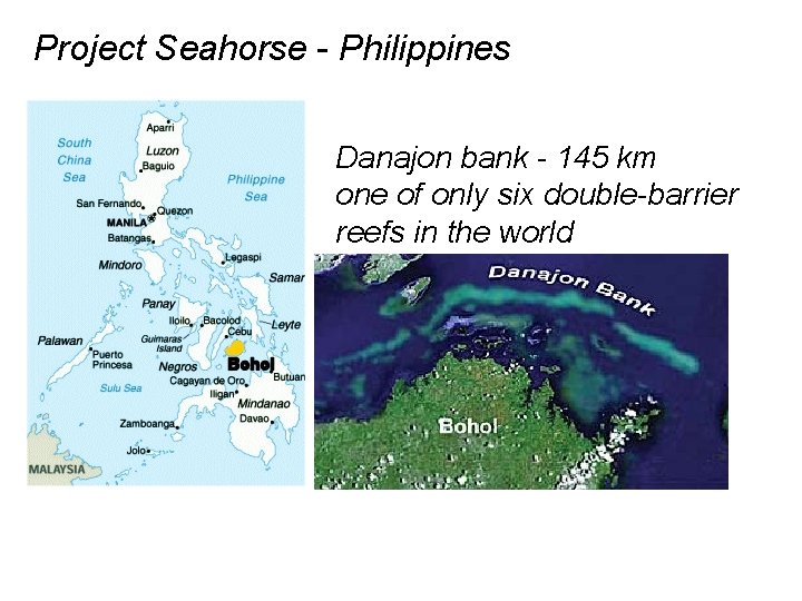 Project Seahorse - Philippines Danajon bank - 145 km one of only six double-barrier