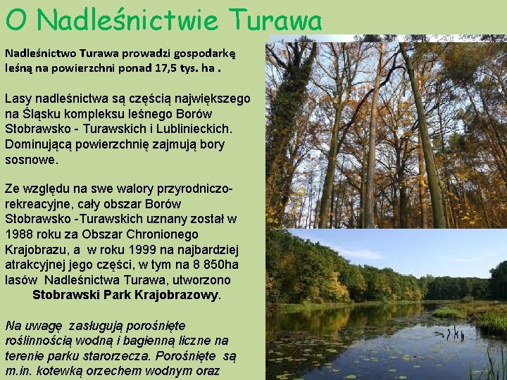 O Nadleśnictwie Turawa Nadleśnictwo Turawa prowadzi gospodarkę leśną na powierzchni ponad 17, 5 tys.