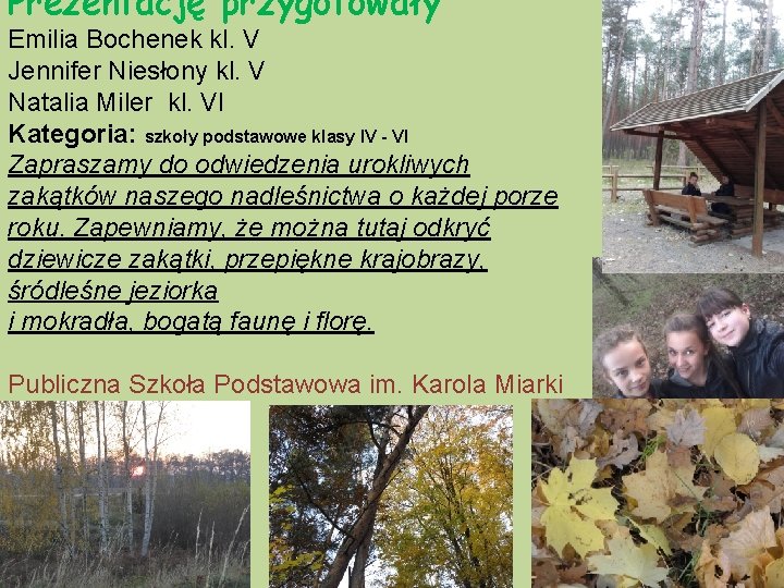 Prezentację przygotowały Emilia Bochenek kl. V Jennifer Niesłony kl. V Natalia Miler kl. VI