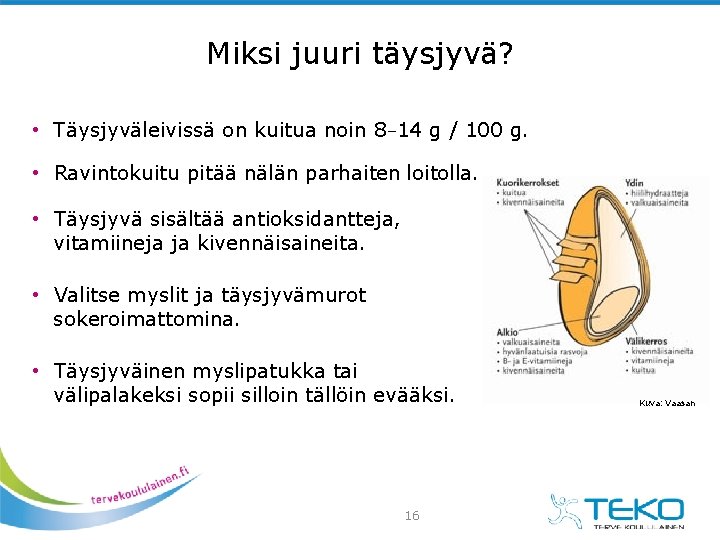 Miksi juuri täysjyvä? • Täysjyväleivissä on kuitua noin 8− 14 g / 100 g.