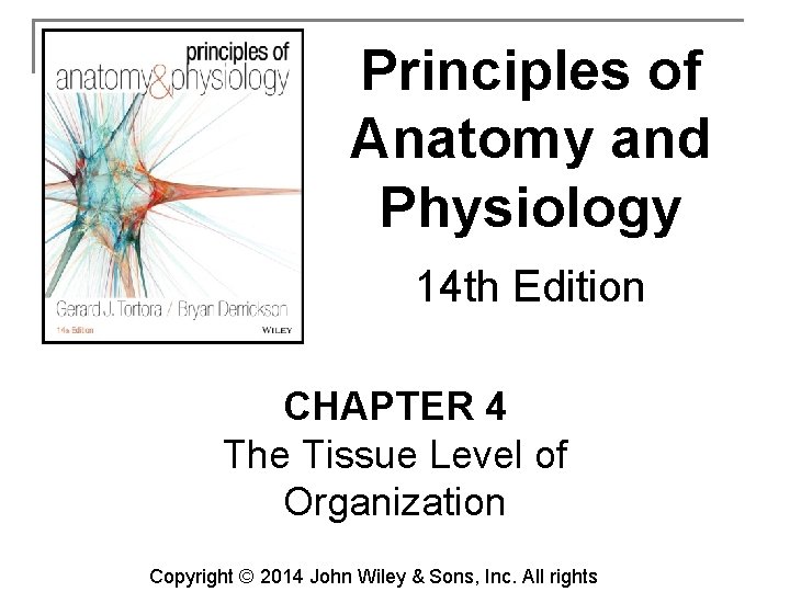 Principles of Anatomy and Physiology 14 th Edition CHAPTER 4 The Tissue Level of