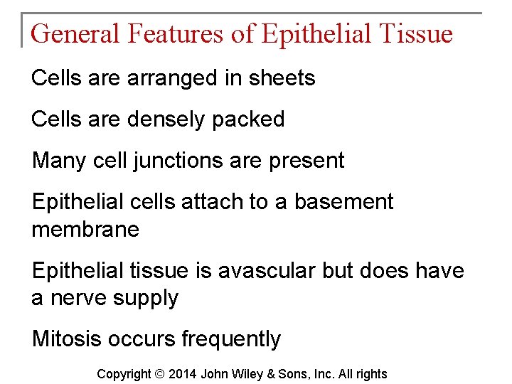 General Features of Epithelial Tissue Cells are arranged in sheets Cells are densely packed