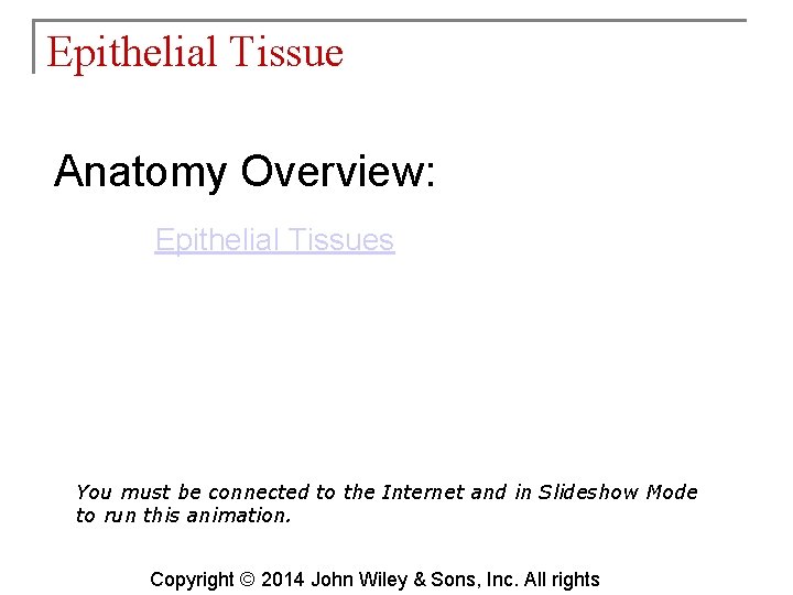 Epithelial Tissue Anatomy Overview: Epithelial Tissues You must be connected to the Internet and