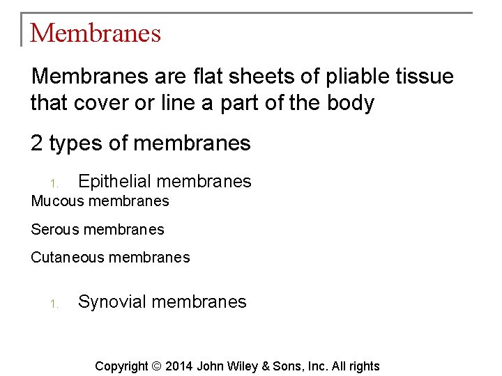 Membranes are flat sheets of pliable tissue that cover or line a part of