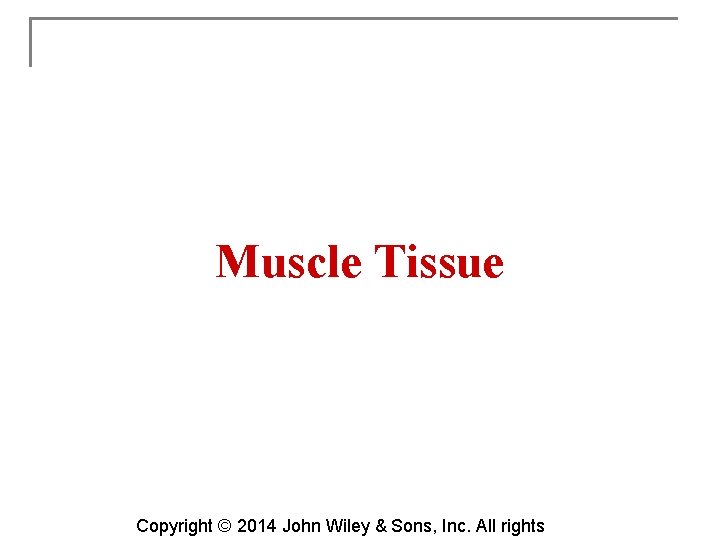 Muscle Tissue Copyright © 2014 John Wiley & Sons, Inc. All rights 
