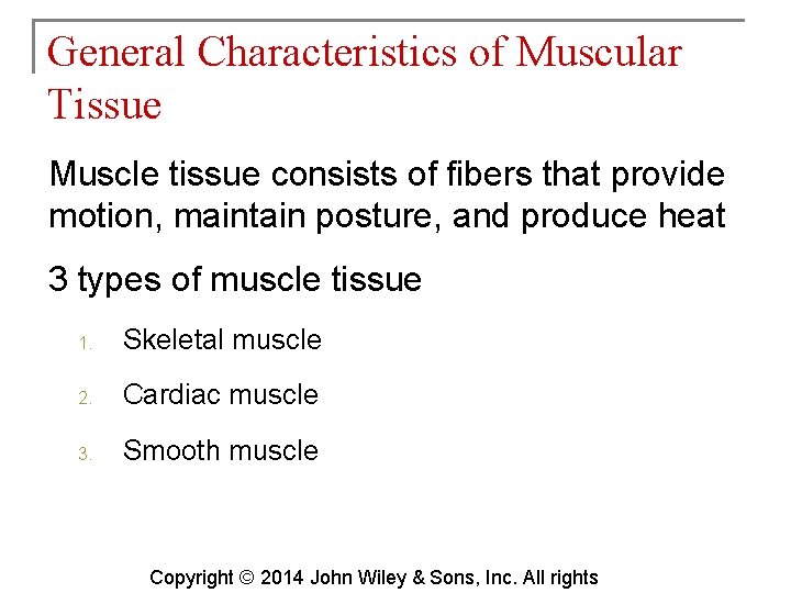 General Characteristics of Muscular Tissue Muscle tissue consists of fibers that provide motion, maintain