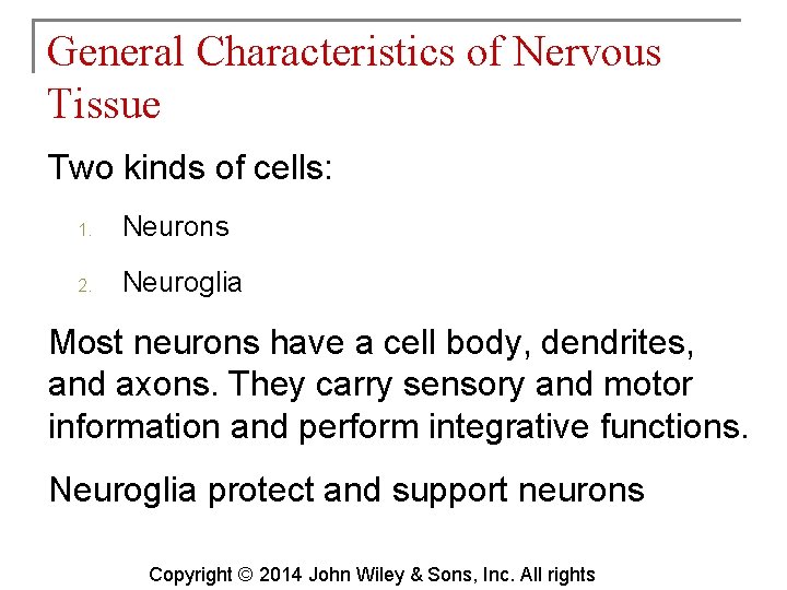 General Characteristics of Nervous Tissue Two kinds of cells: 1. Neurons 2. Neuroglia Most