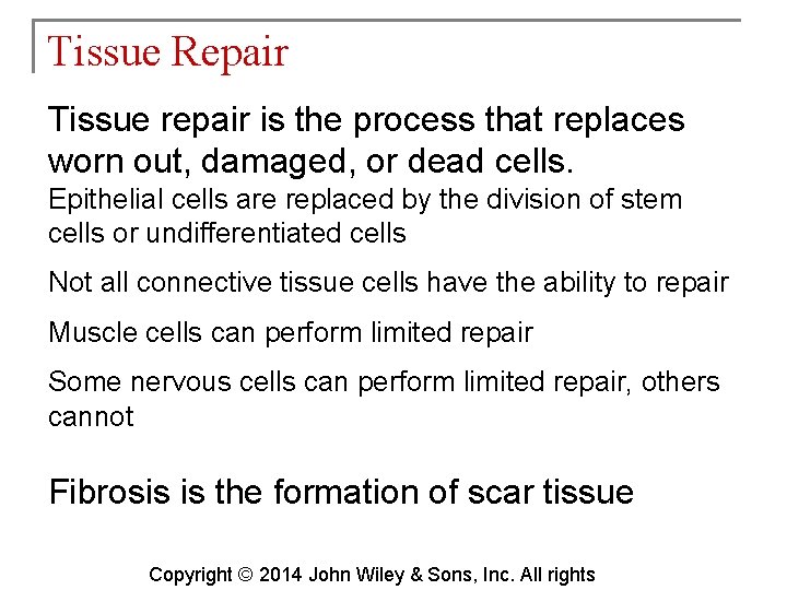 Tissue Repair Tissue repair is the process that replaces worn out, damaged, or dead