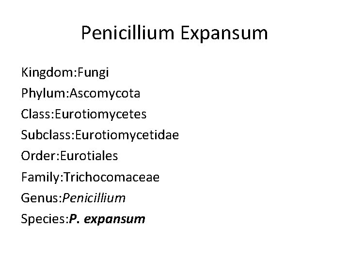 Penicillium Expansum Kingdom: Fungi Phylum: Ascomycota Class: Eurotiomycetes Subclass: Eurotiomycetidae Order: Eurotiales Family: Trichocomaceae