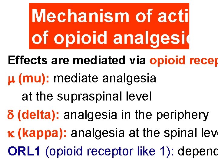 Mechanism of actions of opioid analgesics Effects are mediated via opioid recep m (mu):