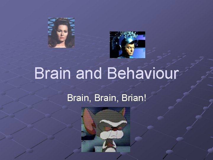 Brain and Behaviour Brain, Brian! 