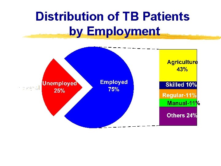 Distribution of TB Patients by Employment 