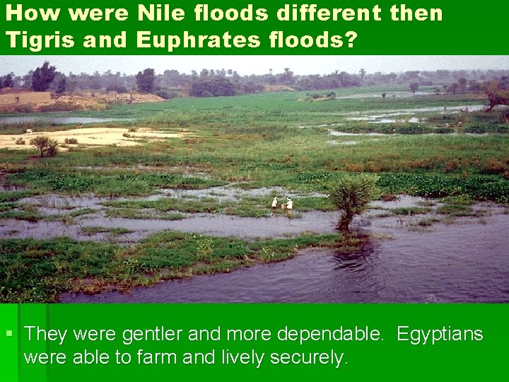 How were Nile floods different then Tigris and Euphrates floods? § They were gentler