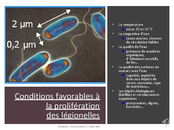  • • Conditions favorables à la prolifération des légionelles Formation - Centre Azureva