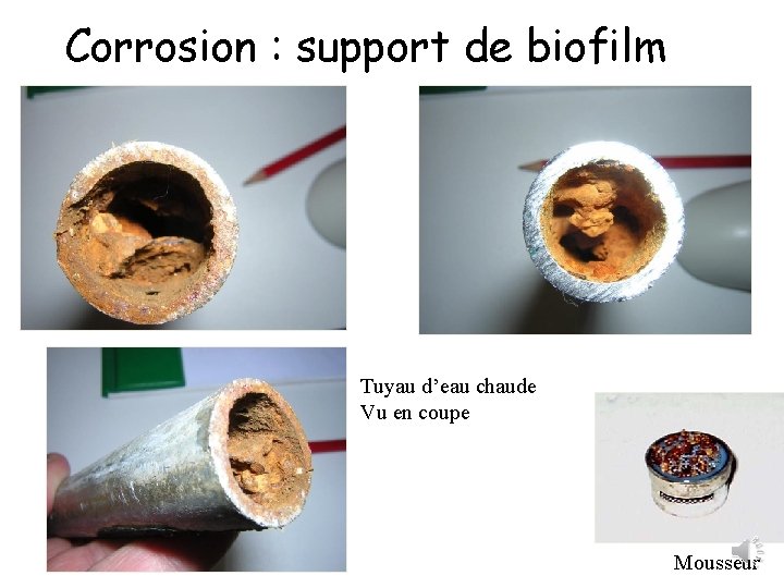 Corrosion : support de biofilm Tuyau d’eau chaude Vu en coupe Mousseur 