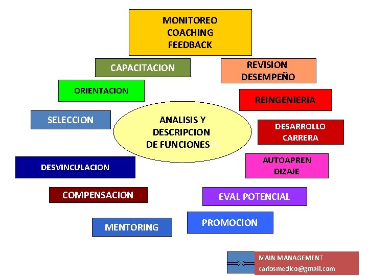 MONITOREO COACHING FEEDBACK REVISION DESEMPEÑO CAPACITACION ORIENTACION REINGENIERIA ANALISIS Y DESCRIPCION DE FUNCIONESES SELECCION